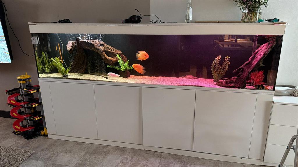 Groot aquarium, Dieren en Toebehoren, Vissen | Aquaria en Toebehoren, Ophalen of Verzenden, Zo goed als nieuw, Leeg aquarium