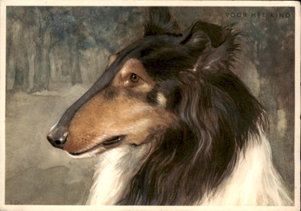 Voor het kind, Collie, schotse herder, H Rol, Verzenden, 1960 tot 1980, Gelopen, Overige thema's