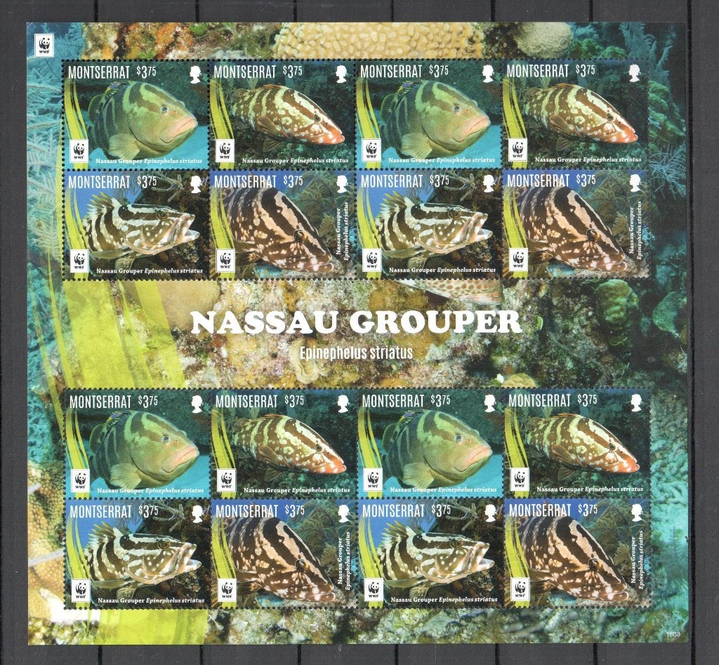 WWF postzegelvel van de Nassautandbaars, Ophalen of Verzenden, Postfris, Dier of Natuur