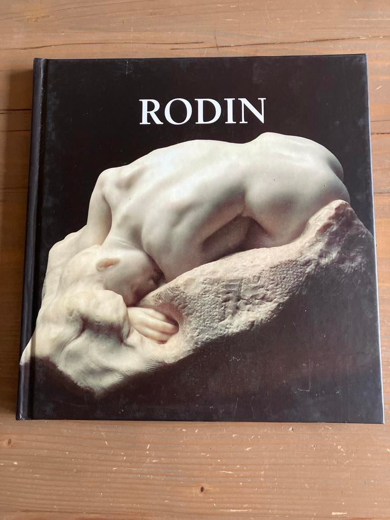 Rodin: Een Prachtige Collectie van Zijn Beeldhouwkunst, Ophalen of Verzenden, Gelezen, Beeldhouwkunst