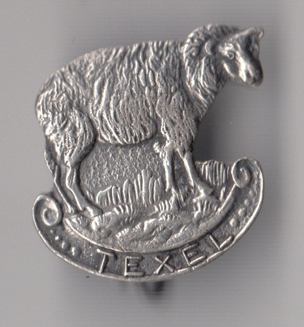 Texel schaap A broche, Verzamelen, Gebruikt, Niet vindbaar, Niet vindbaar, Speldje of Pin