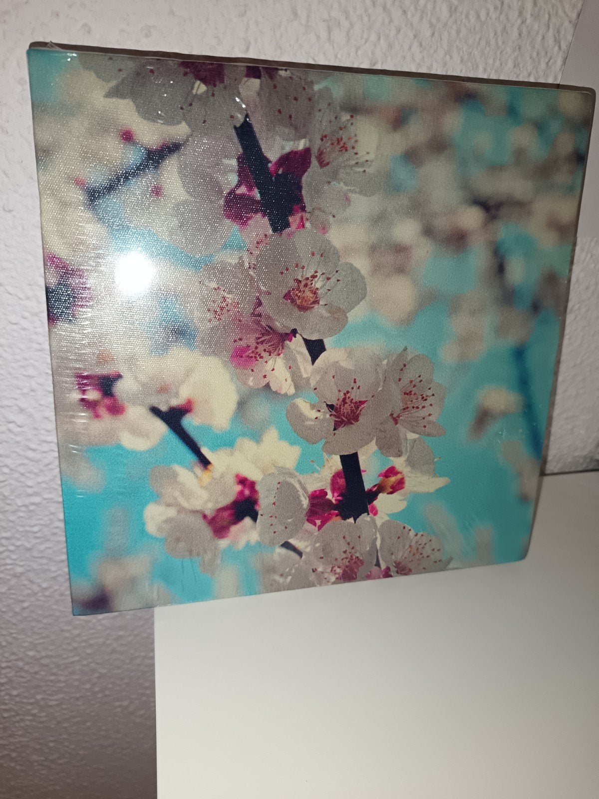 Mini schilderij bloesem NIEUW! In folie zie beschrijving, Antiek en Kunst, Ophalen