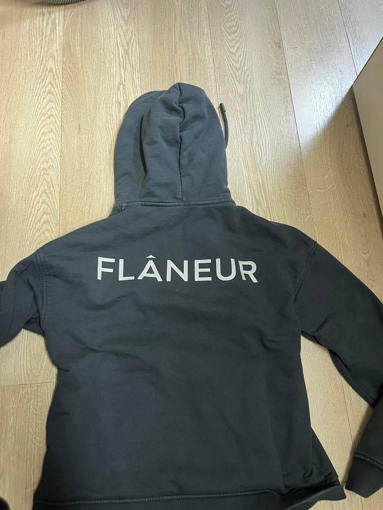 Flaneur trui maat M, Kleding | Heren, Truien en Vesten, Ophalen, Zo goed als nieuw, Maat 48/50 (M)