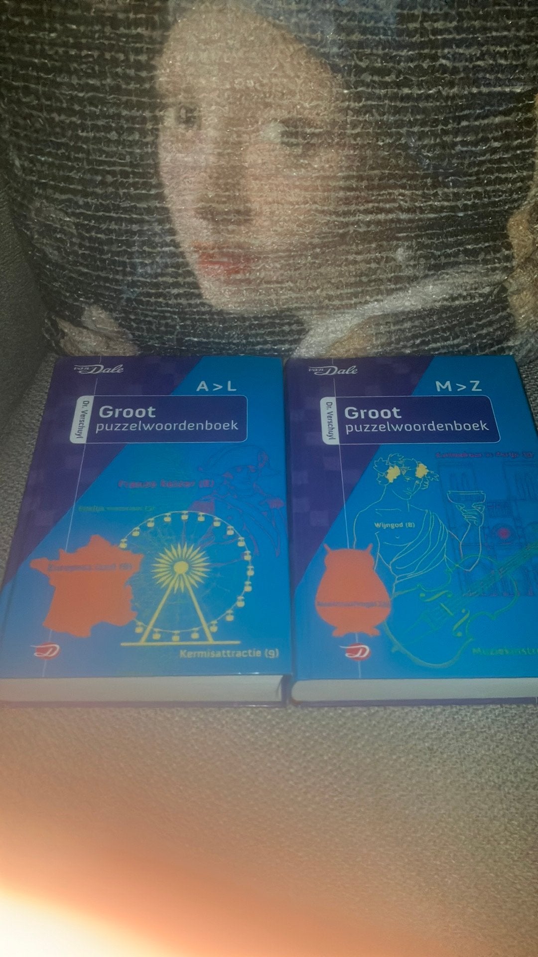 Van Dale Dr.Verschuyl groot puzzelwoordenboek, Ophalen, Zo goed als nieuw, Tekenen en Schilderen, H.J. Verschuyl