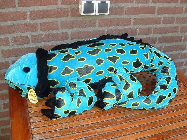 STARPARKS EUROPE KAMELEON WINNER VELOURS BLAUW M, Ophalen of Verzenden, Nieuw, Overige typen