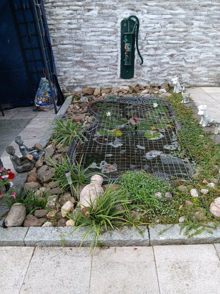 vijver met vissen, Tuin en Terras, Ophalen