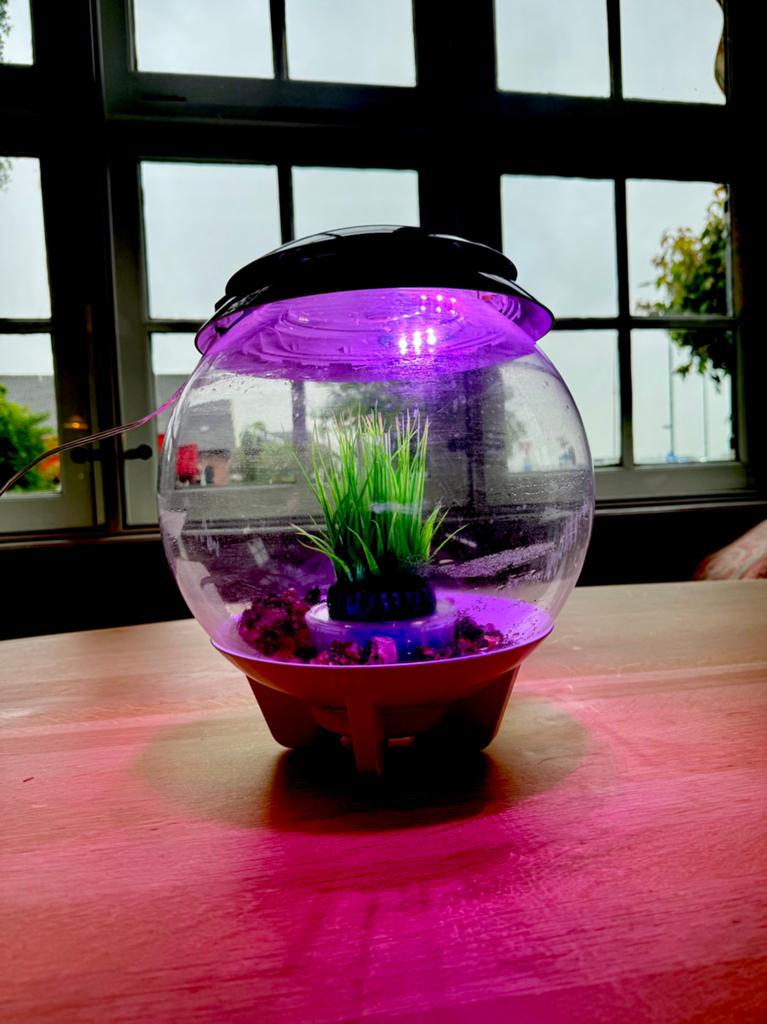 Het OASE biOrb AIR terrarium, Ophalen of Verzenden, Gebruikt, Leeg aquarium