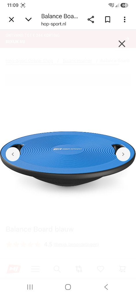 Balance board, Ophalen of Verzenden, Gebruikt