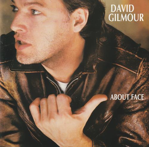 David Gilmour - About Face (CD), Ophalen of Verzenden, Zo goed als nieuw, Progressive