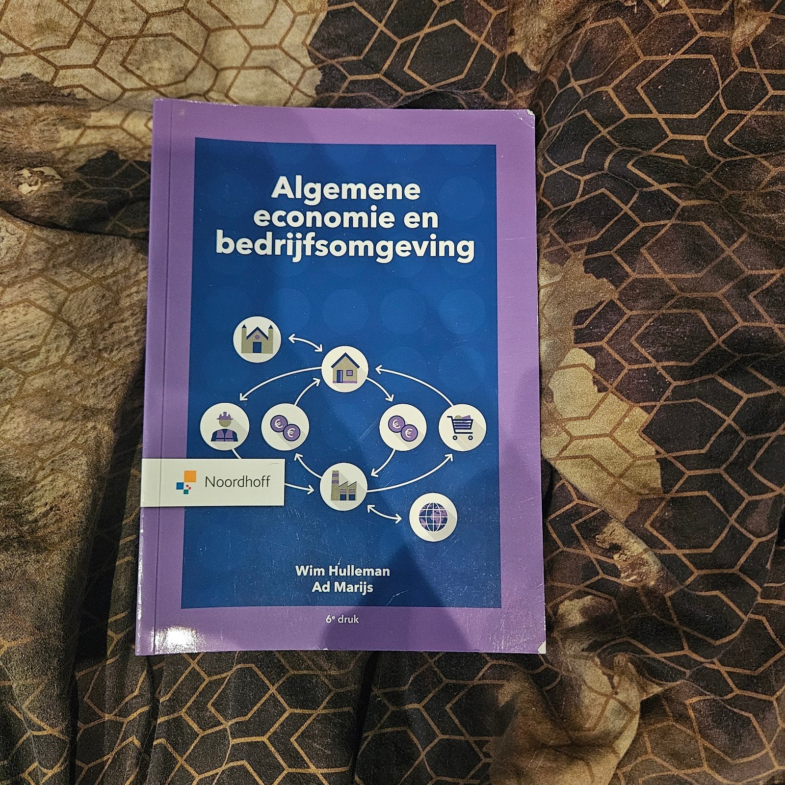 Algemene economie en bedrijfsomgeving - 6e druk, Ophalen of Verzenden, Zo goed als nieuw, Economie en Marketing, Wim Hulleman, Ad Marijs