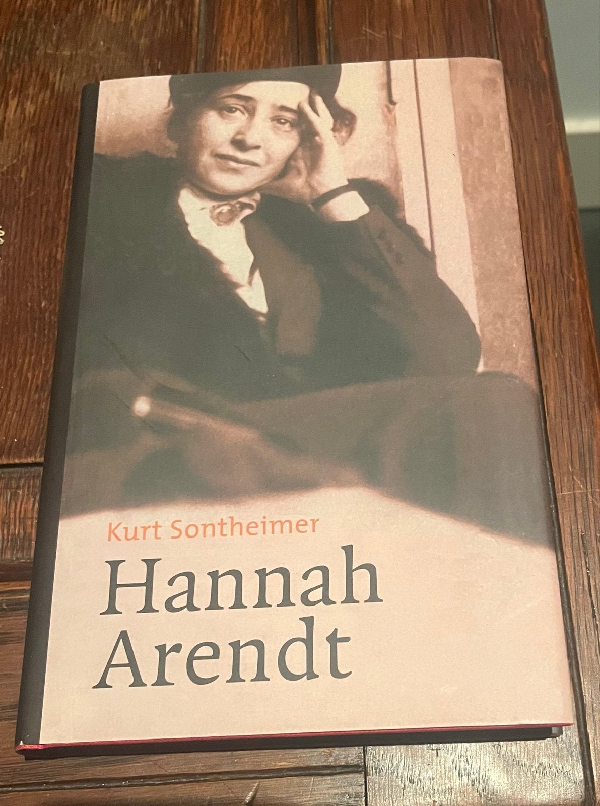 Hannah Arendt - Kurt Sontheimer (biografie), Verzenden, Zo goed als nieuw, Politiek