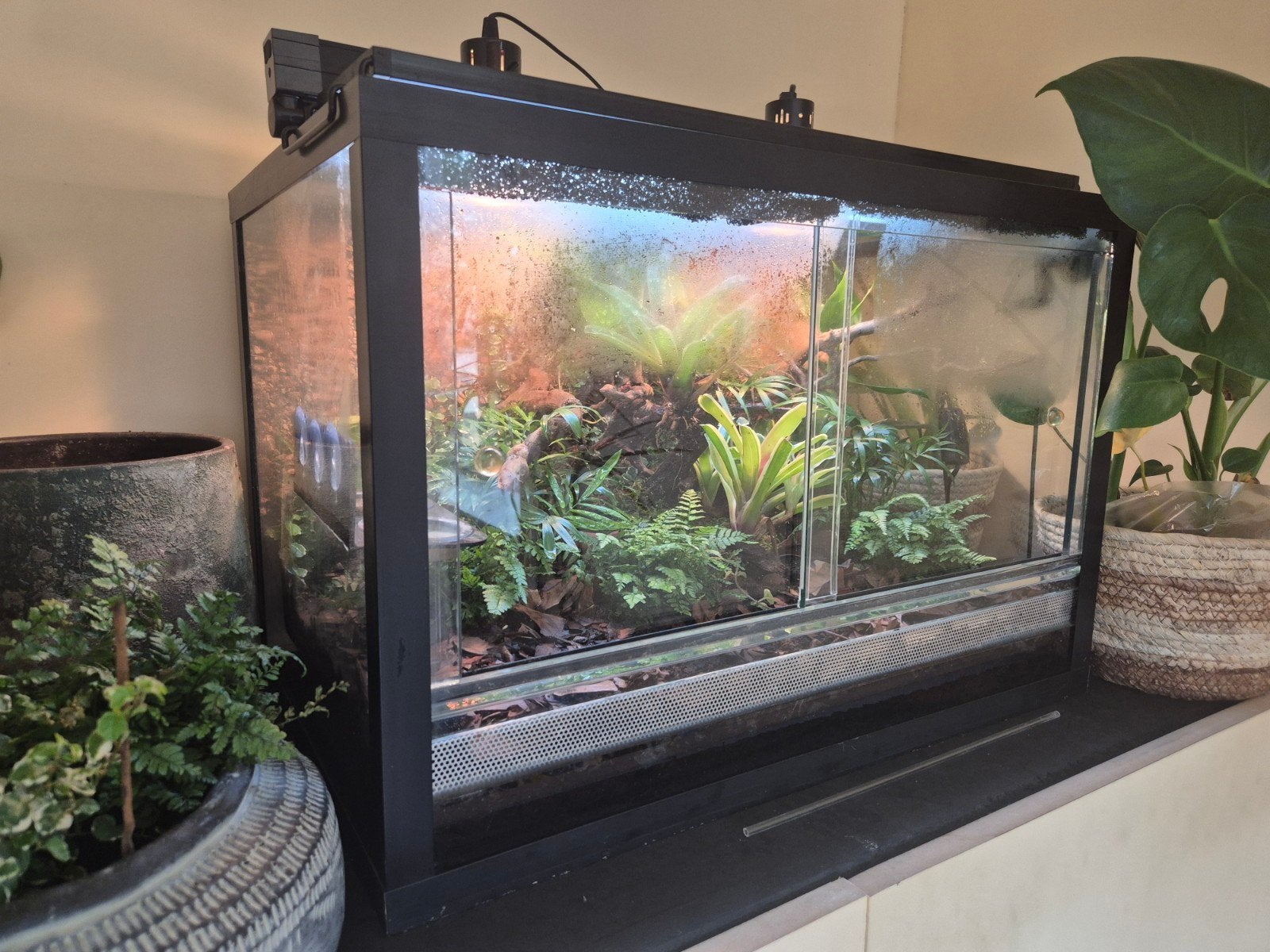 compleet bioactief vivarium, Overige soorten, Met terrarium, 0 tot 2 jaar