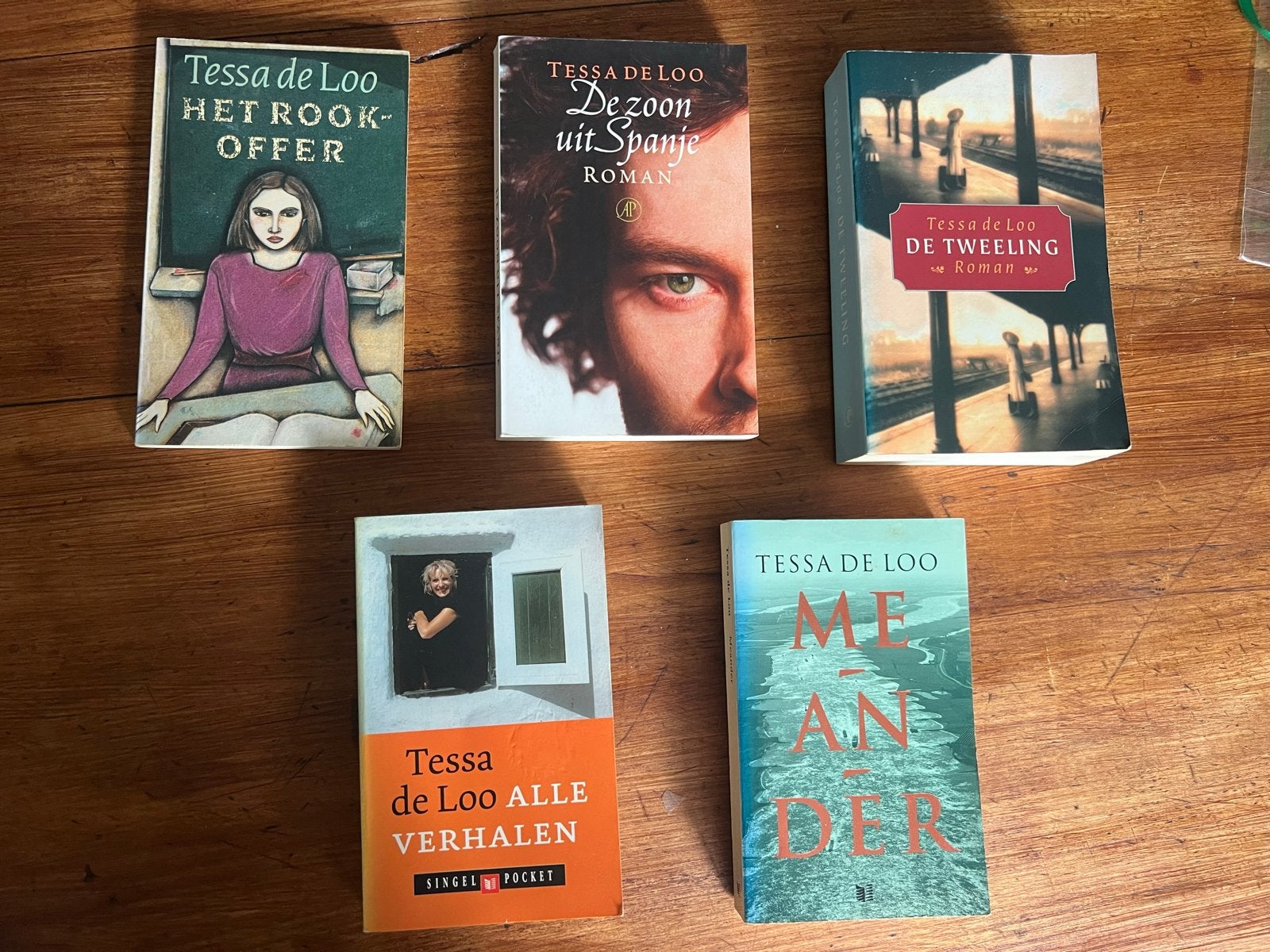 5 boeken van Tessa de Loo: Het Rookoffer, De Tweeling, etc., Boeken, Ophalen of Verzenden, Gelezen, Nederland