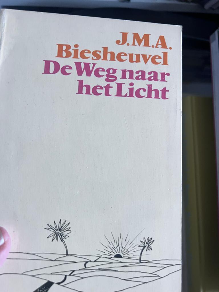 J.M.A. Biesheuvel - De Weg naar het Licht, Boeken, Literatuur, Ophalen of Verzenden, Gelezen, Nederland