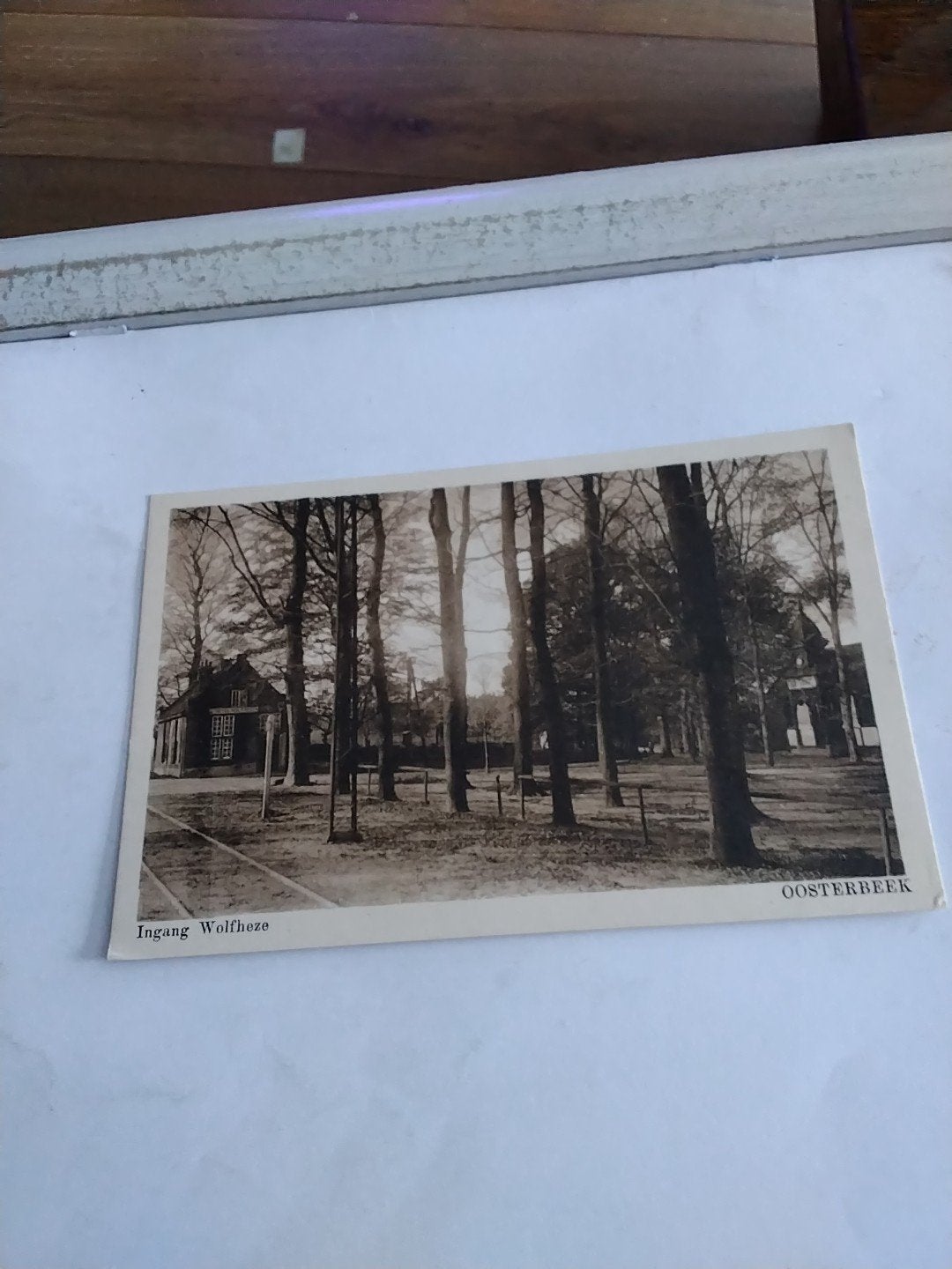 OOSTERBEEK. INGANG. WOLFHEZE, Antiek en Kunst, Kunst | Etsen en Gravures, Ophalen of Verzenden