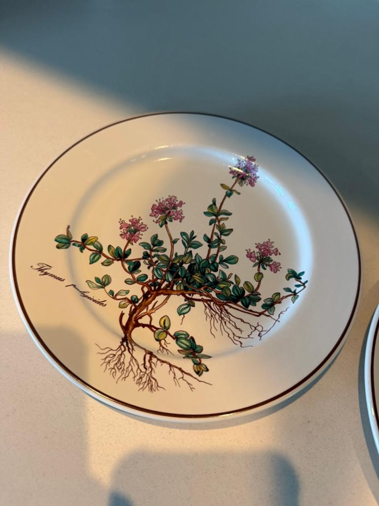 Villeroy en Boch Botanica ontbijtbord 2x, Ophalen of Verzenden, Zo goed als nieuw, Bord(en), Overige stijlen