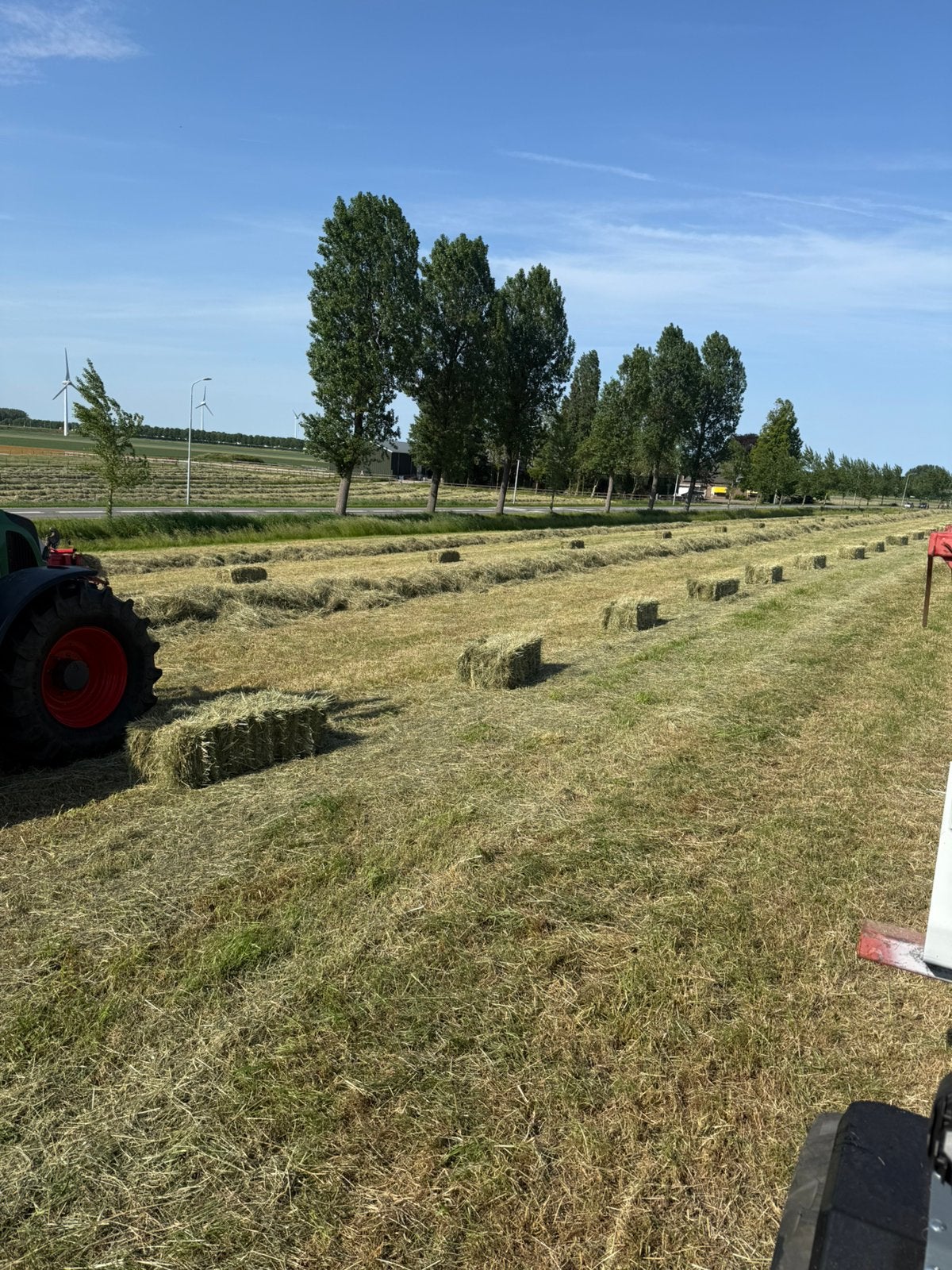 hooi balen 2026mooi grof met analyse- Ideaal voor paarden, Ophalen