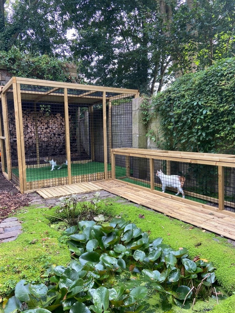 Kattenren Rosmalen | Maatwerk | Duurzame materialen, Ophalen of Verzenden, Nieuw