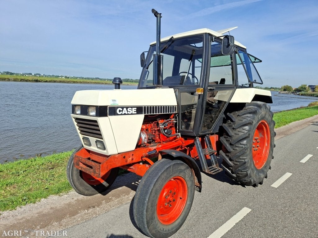 Case / David Brown 1290, Zakelijke goederen, Gebruikt, Niet opgegeven, Case IH, Ophalen of Verzenden