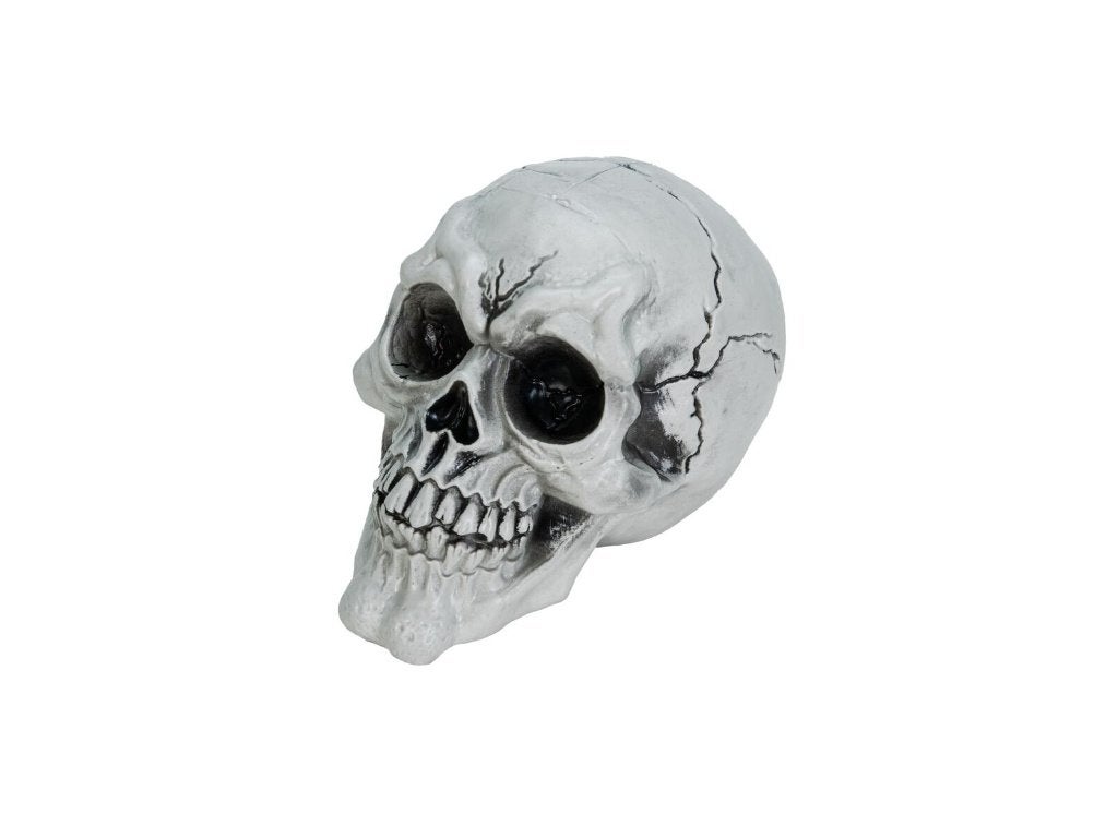 Europalms Halloween Schedel - Set van 3 stuks, Halloween of Griezel, ., Nieuw, Ophalen of Verzenden