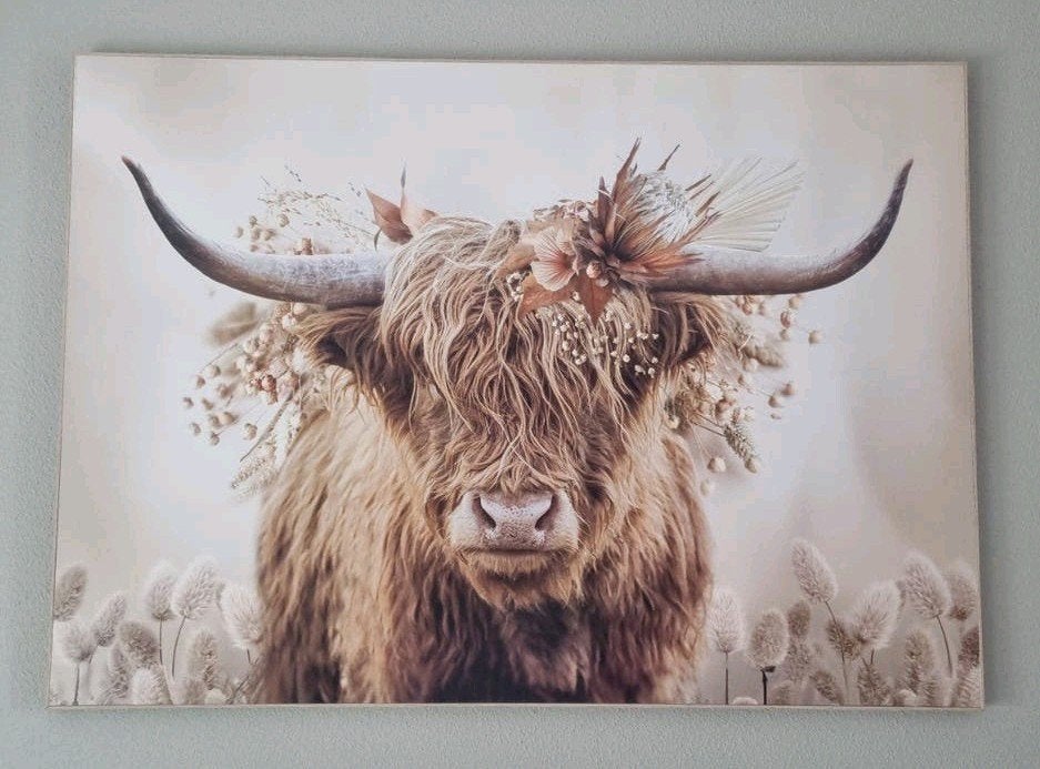 Modern Schilderij Schotse Hooglander - 1.40M x 1.00M, Ophalen, Zo goed als nieuw