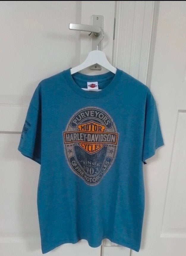 Harley Davidson T-shirt, Blauw, Overige maten, Ophalen of Verzenden, Gedragen