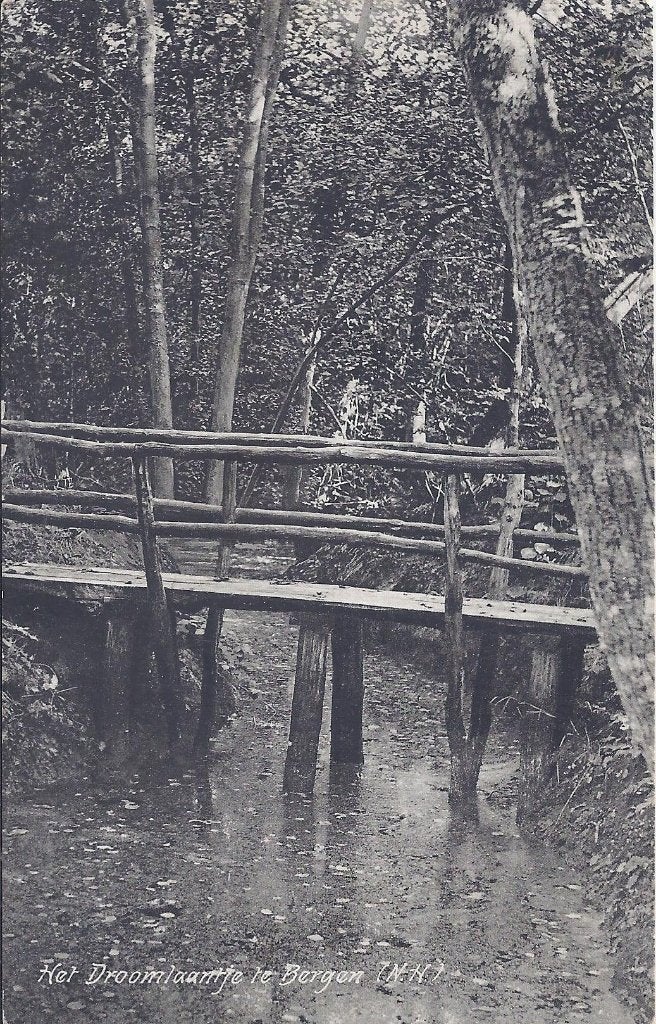 Bergen Droomlaantje Oude Gelopen Ansichtkaart (P957 ), Ophalen of Verzenden, 1960 tot 1980, Gelopen, Noord-Holland