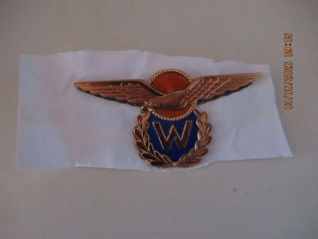 Vlieger Groot Militair Brevet tevens waarnemer, Verzenden, Landmacht, Nederland, Embleem of Badge