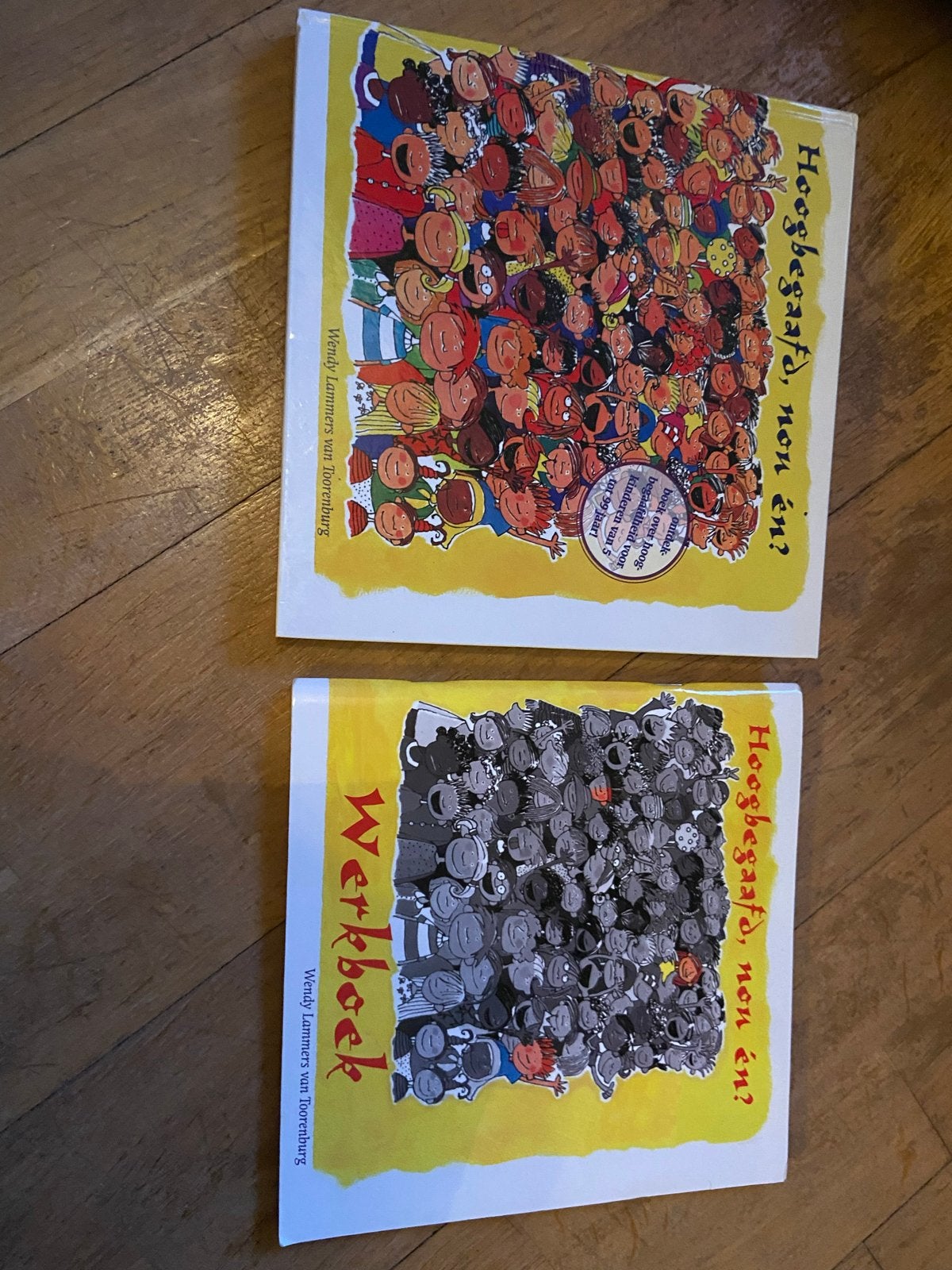 Hoogbegaafd, non en? + Werkboek - Wendy Lammers, Ophalen of Verzenden, Zo goed als nieuw