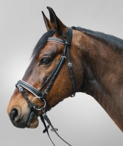 Hoofdstel Diamond Full, Dieren en Toebehoren, Paarden en Pony's | Hoofdstellen en Tuigage, Maasbracht, Ophalen of Verzenden, Gersalsport@home.nl