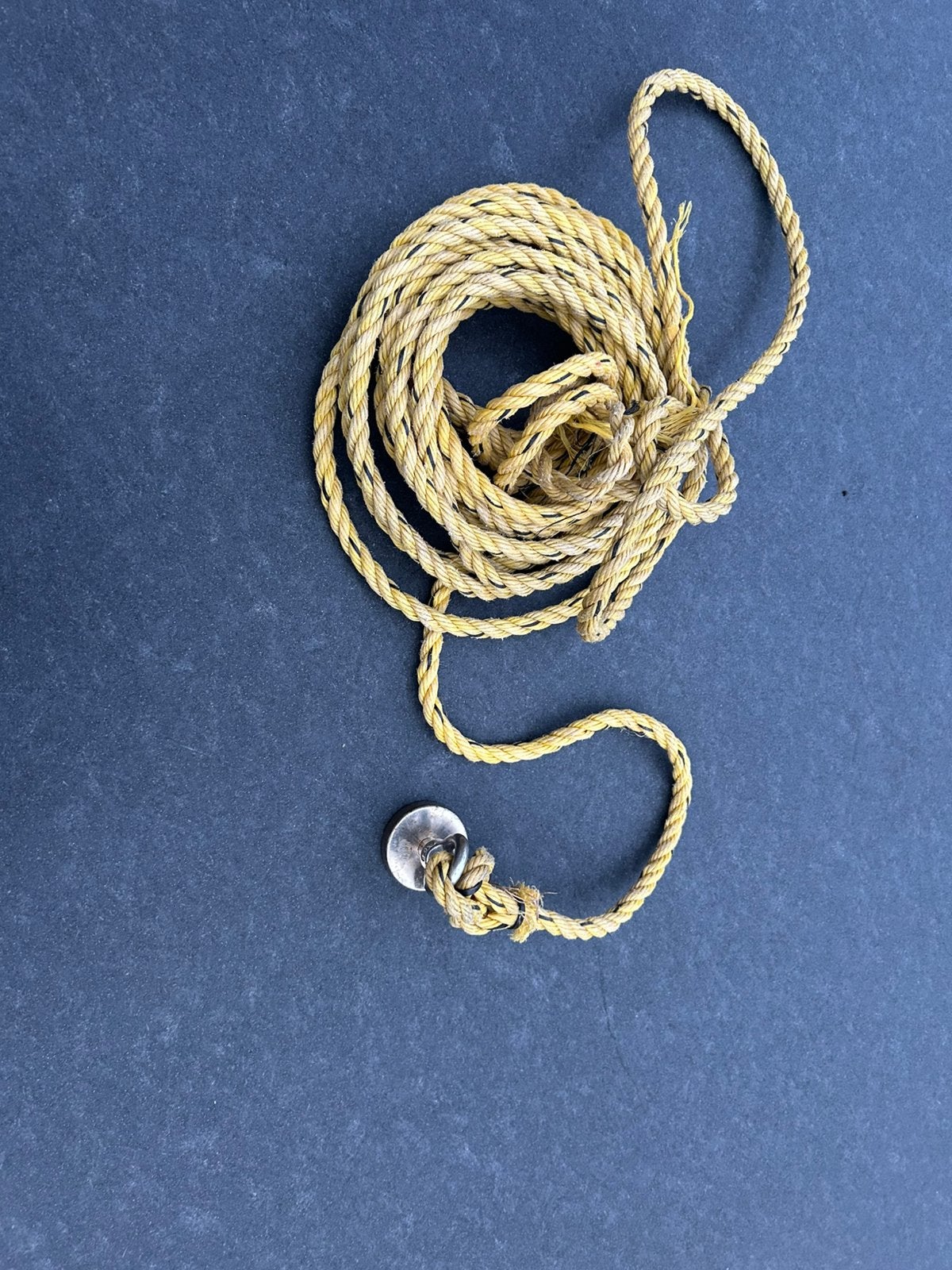 Magneet vissen, Ophalen of Verzenden, Gebruikt