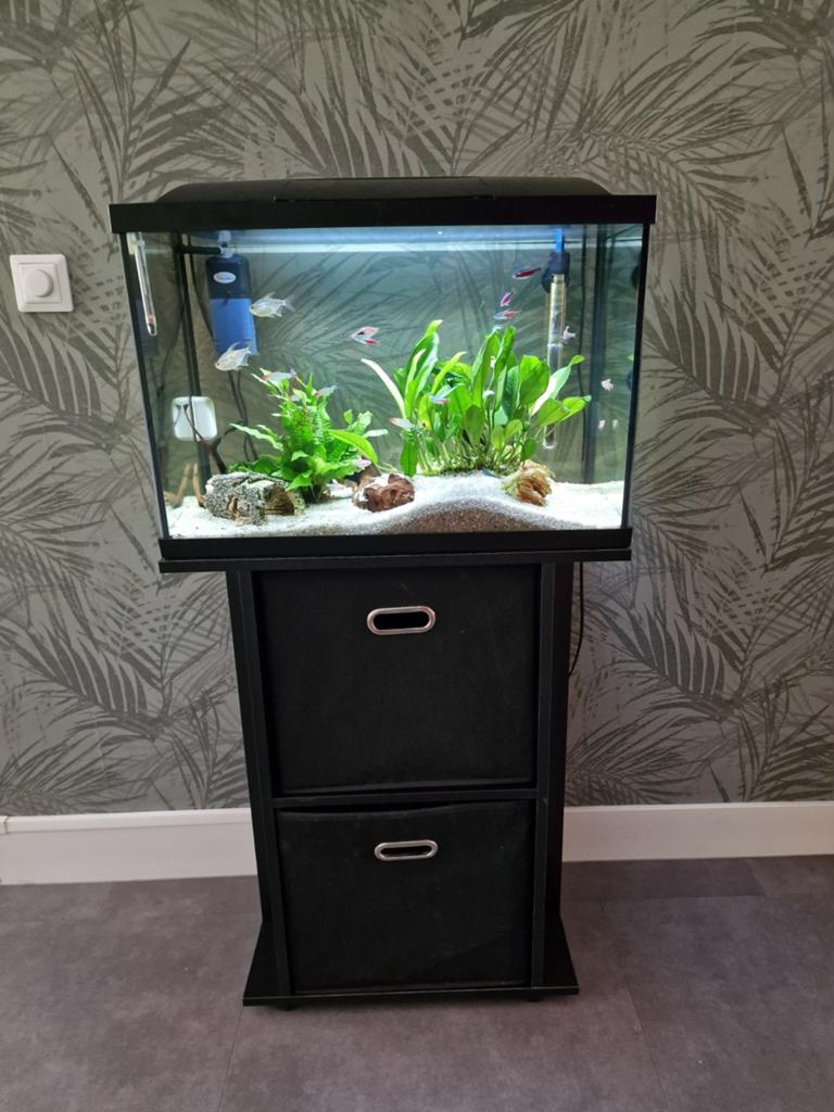 Superfish start 100 aquarium incl. Meubel !, Ophalen, Gebruikt, Gevuld zoetwateraquarium