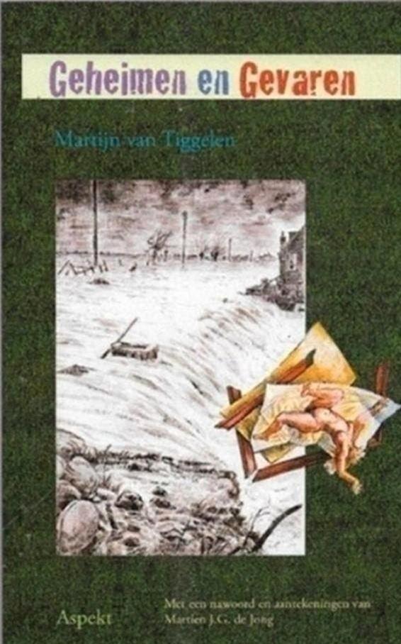 Martijn Van Tiggelen Geheimen en gevaren, Boeken, Historische romans, Ophalen of Verzenden, Zo goed als nieuw