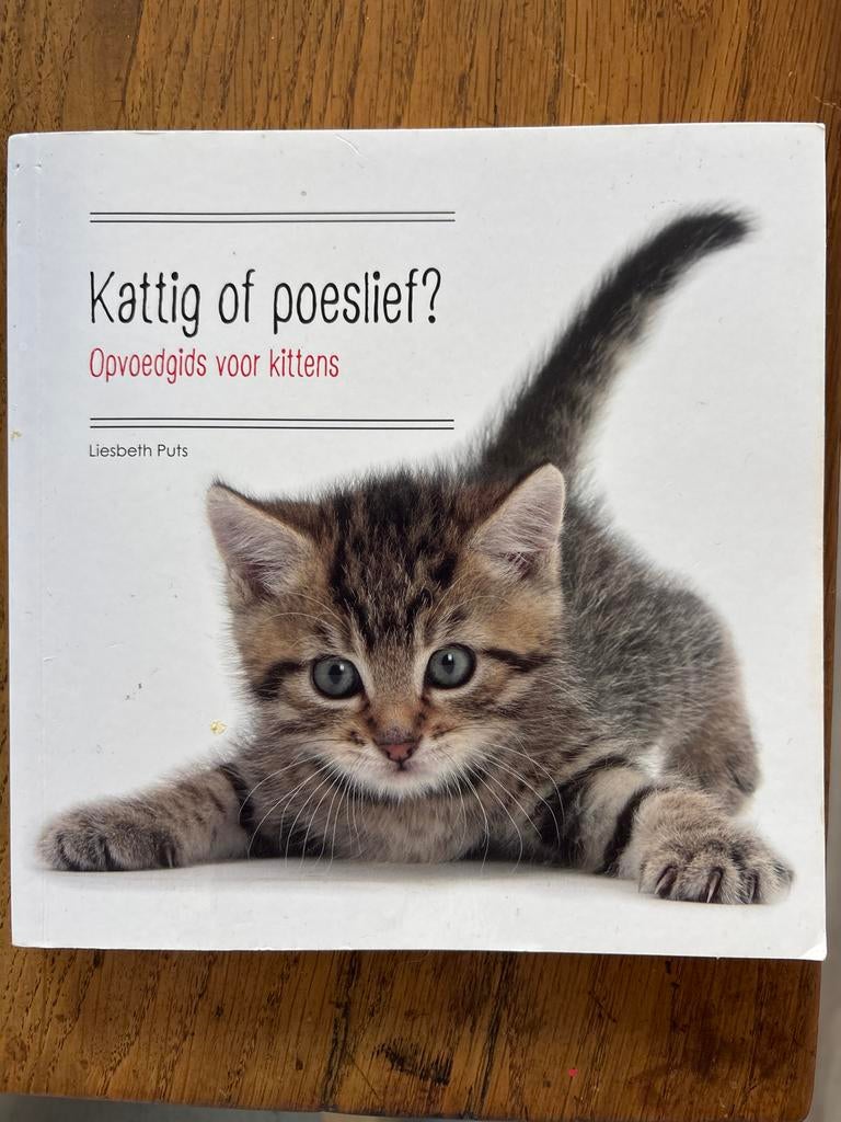 Kattig of poeslief? Opvoedgids voor kittens - Liesbeth Puts, Ophalen of Verzenden, Gelezen, Katten