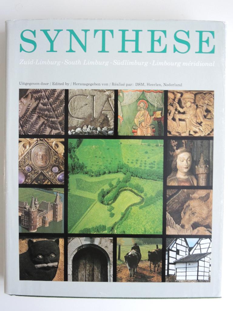 Synthese - Geschiedenis, natuur en cultuur van Limburg, 20e eeuw of later, Nieuw, Ophalen of Verzenden, Meerdere auteurs