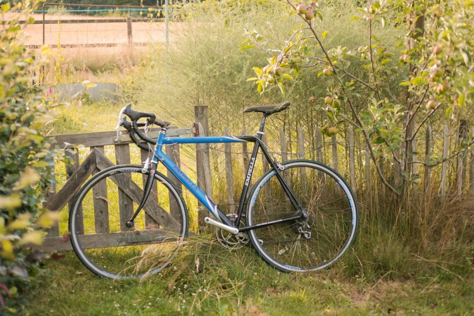 Empella Fireball Campagnolo Centaur, Overige merken, Gebruikt, 26 inch, Aluminium