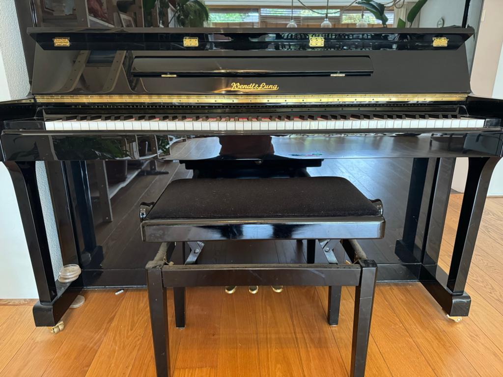 Wendl & Lung Piano - Zwart Hoogglans, Ophalen, Gebruikt, Zwart, Piano