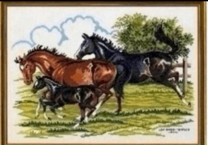 BORDUURPATROON EVA ROSENSTAND PAARDEN MET VEULEN, Verzenden, Zo goed als nieuw, Handborduren, Patroon