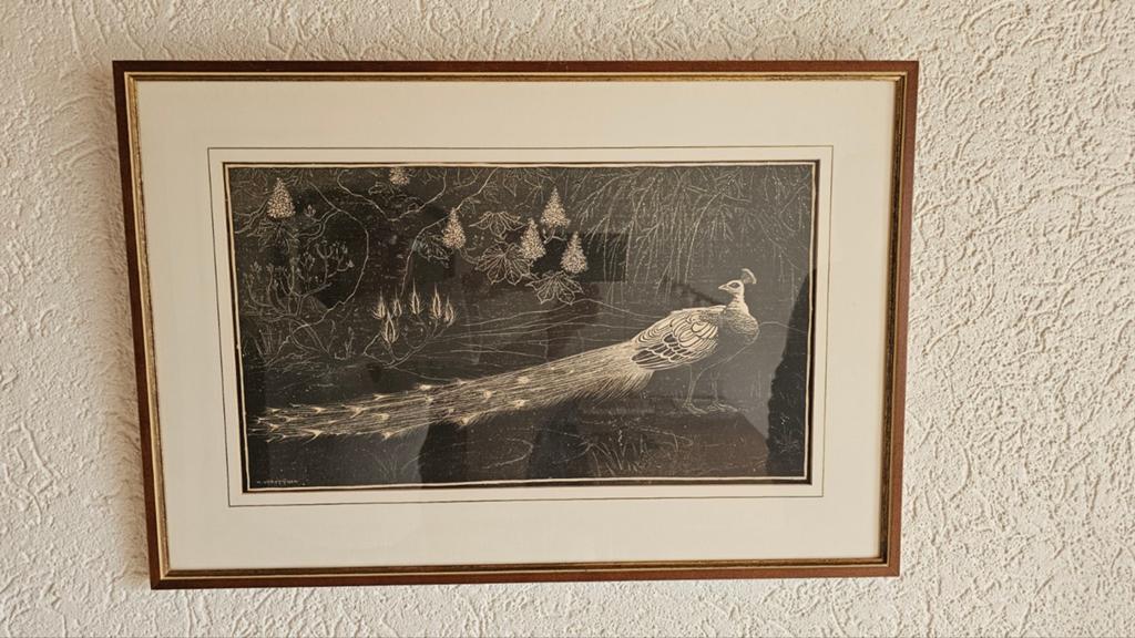 Henri Verstijnen - Houtsnede 'Paauw', Antiek en Kunst, Ingelijst, Ophalen of Verzenden, Houtsnede, Flora en Fauna