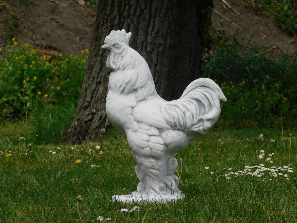 Beeld Haan - vol steen, Tuin en Terras, Tuinbeelden, Dierenbeeld, Steen, Ophalen of Verzenden