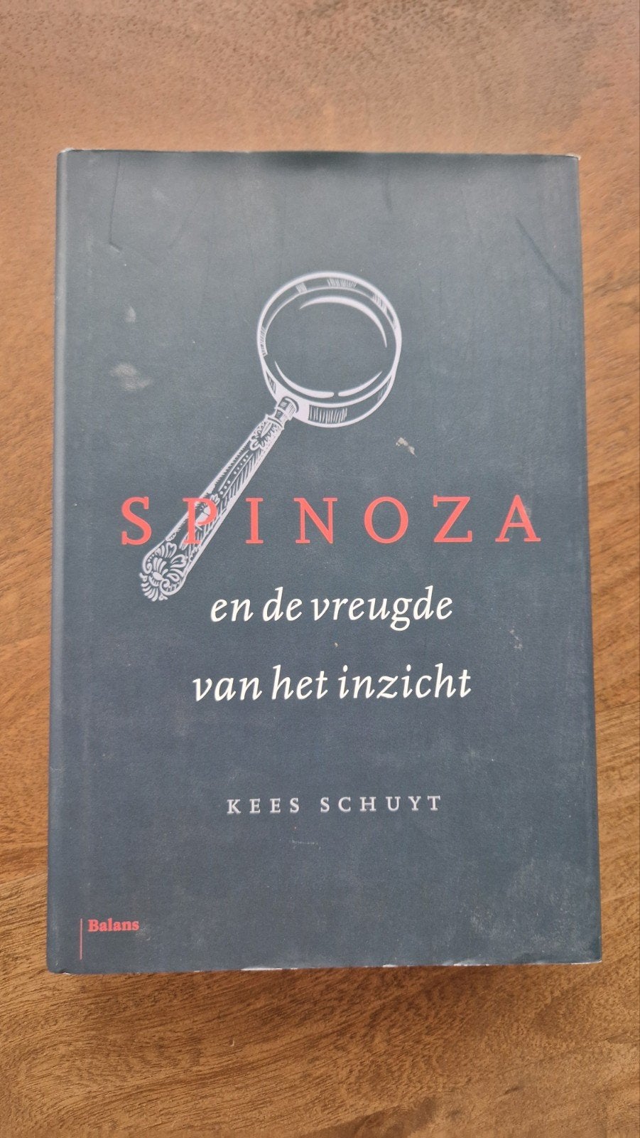 Spinoza en de vreugde van het inzicht - Kees Schuyt, Ophalen of Verzenden, Zo goed als nieuw, Kees Schuyt, Nederland