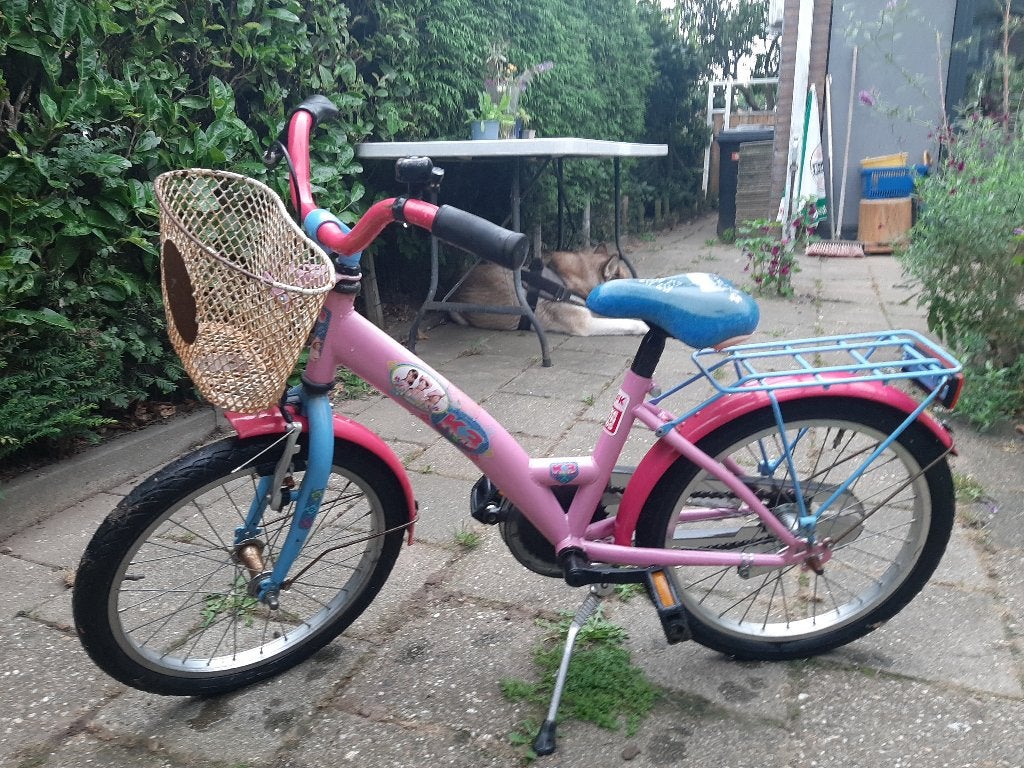 kinderfietsje te koop, Ophalen, Terugtraprem, Gebruikt, Onbekend