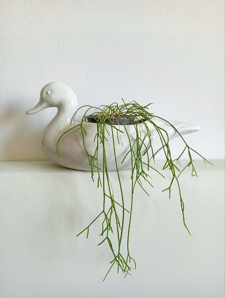 Leuke eend plantenpot/bloempot - decoratief en uniek, Binnen, Ophalen of Verzenden, Zo goed als nieuw, Overige vormen