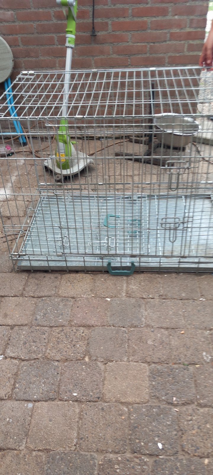 Honden banch voor middel tot grote hond, Dieren en Toebehoren, Hondenbenches, Ophalen of Verzenden, Zo goed als nieuw