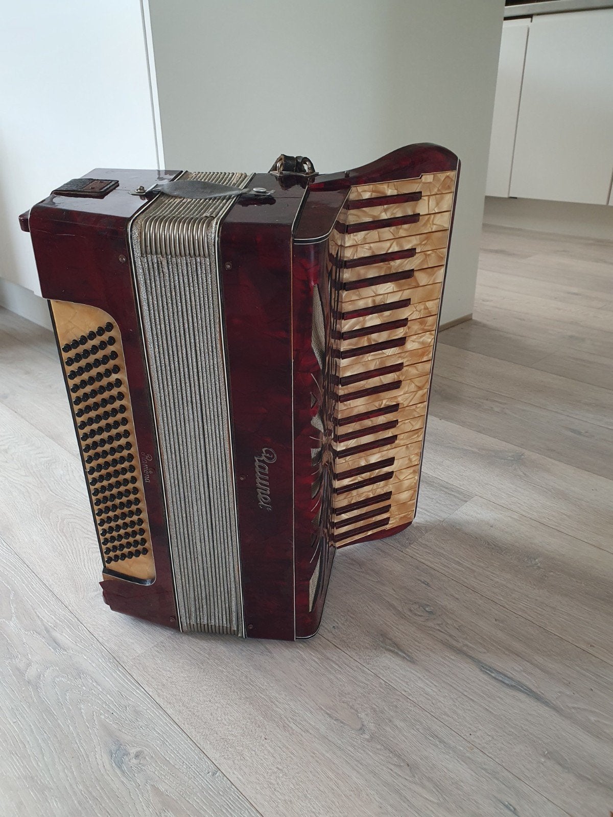 Rauner Accordeon - Toetsaccordeon met riemen, Muziek en Instrumenten, Accordeons, Overige merken, Gebruikt, Met riemen, Overige formaten