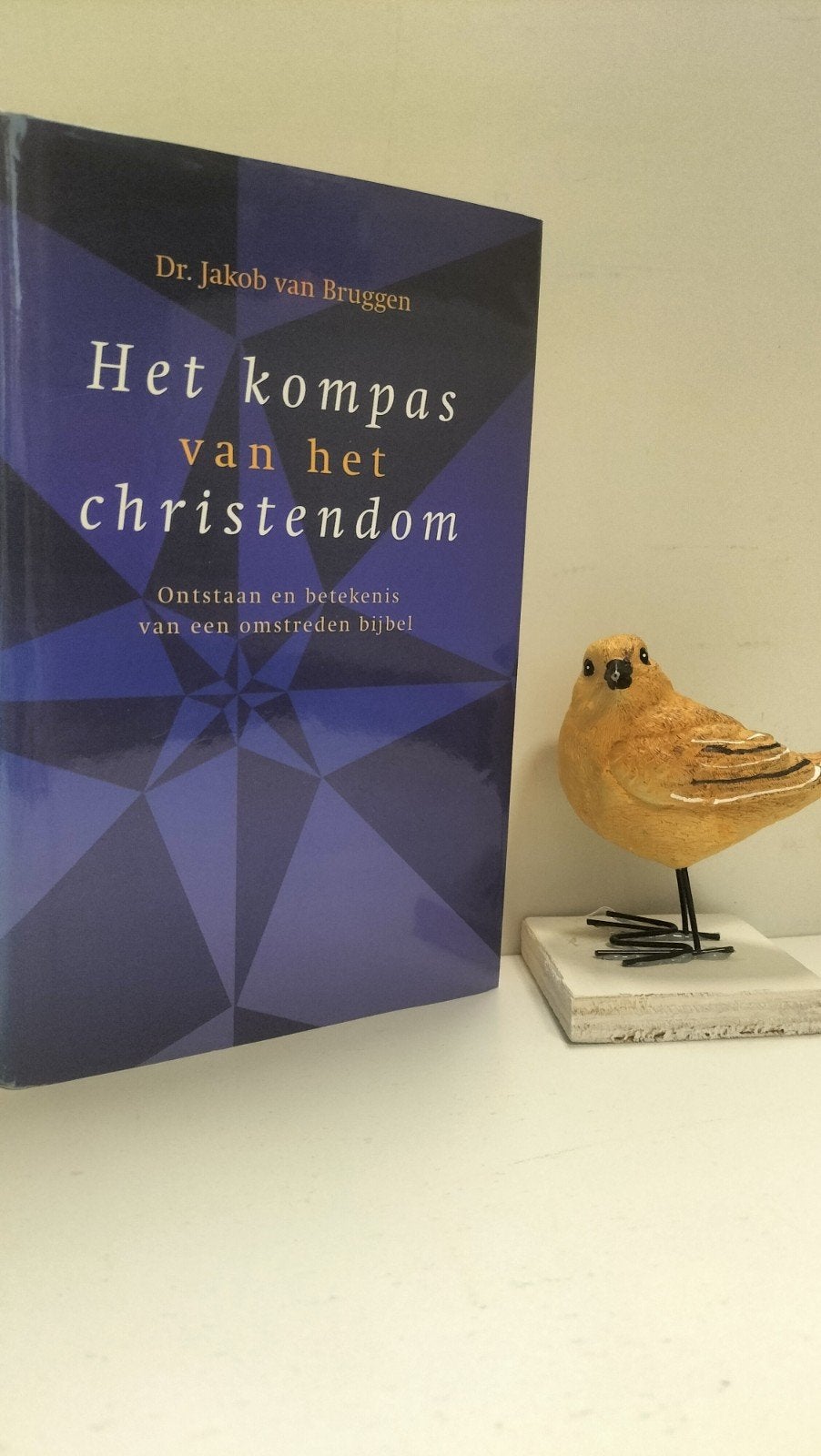 Bruggen, Dr. Jakob van; Het kompas van het christendom, Boeken, Ophalen of Verzenden, Gelezen, Christendom | Protestants