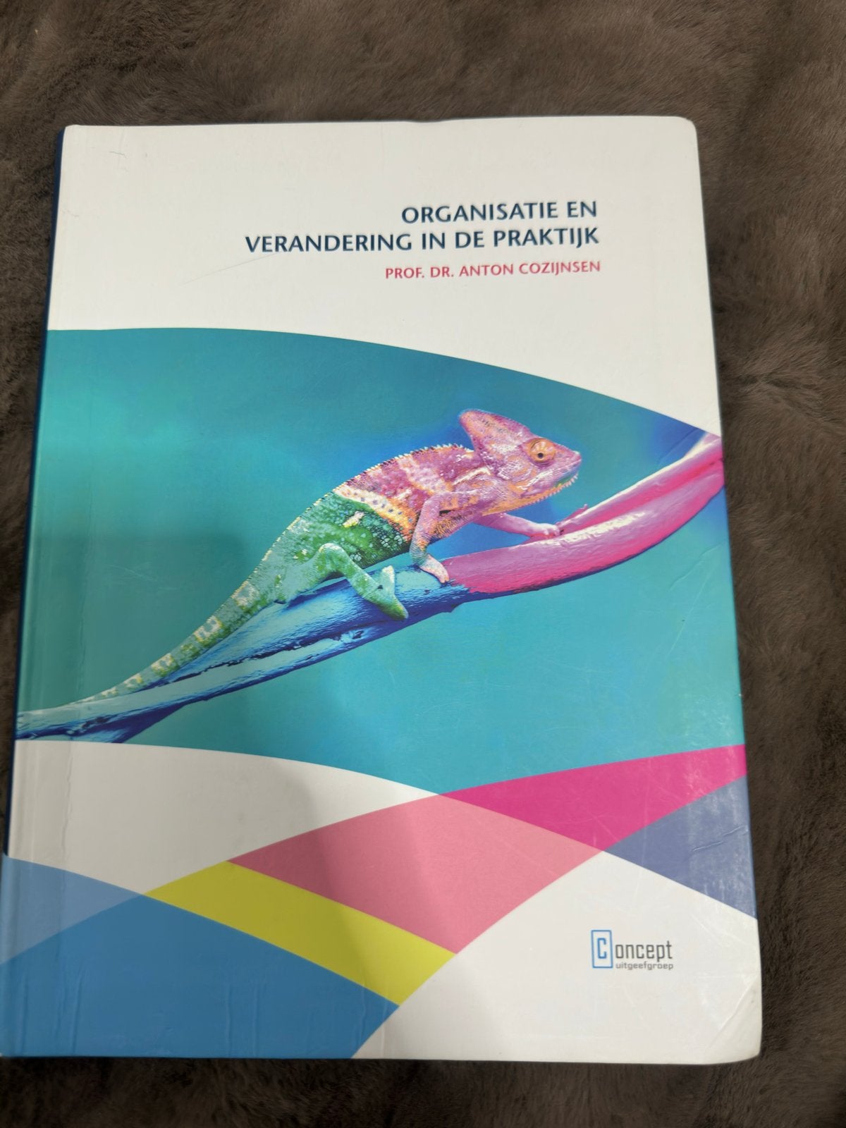 Organisatie en Verandering in de Praktijk - Prof. Dr. Anton, Ophalen of Verzenden, Gamma, Gelezen, HBO