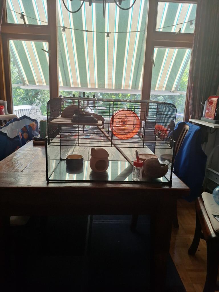 Hamsterkooi, Minder dan 60 cm, Kooi, Gebruikt, Minder dan 75 cm