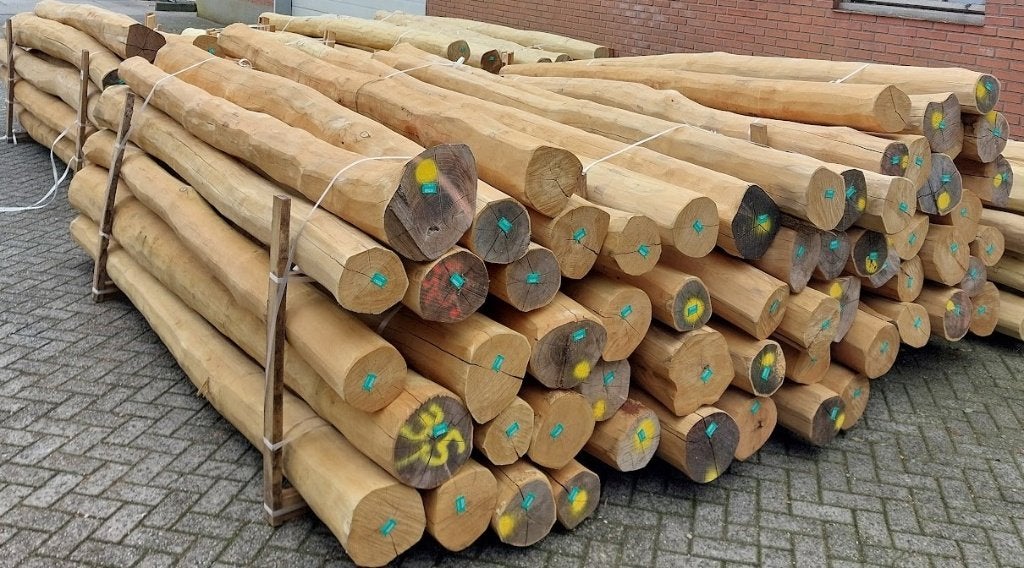 robinia spintvrij geschuurde palen, palen, hekwerk, poorten, Ophalen of Verzenden, Nieuw, 250 cm of meer, Palen