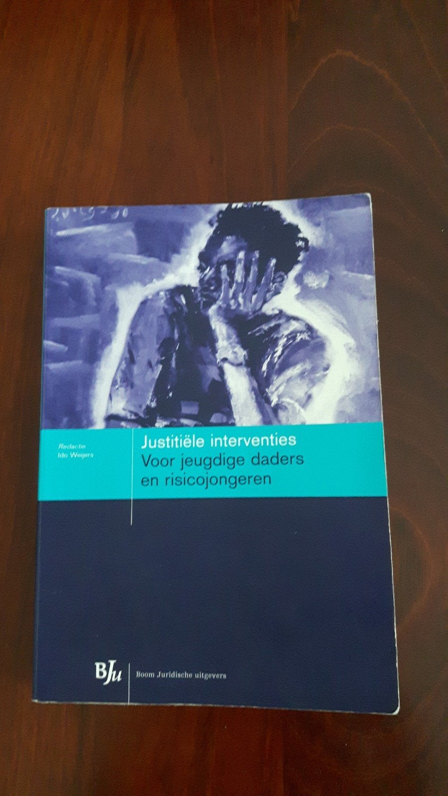 Justitiële Interventies voor Jeugdige Daders, Boeken, Zo goed als nieuw, Gamma, Ido Weijers (redactie), HBO